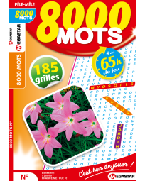 Abonnement 8000 mots