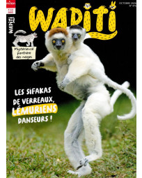 Abonnement Wapiti