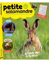 Abonnement Petite Salamandre