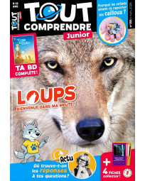 Abonnement Tout comprendre Junior