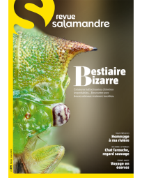 Abonnement Revue Salamandre