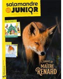 Abonnement Salamandre Junior