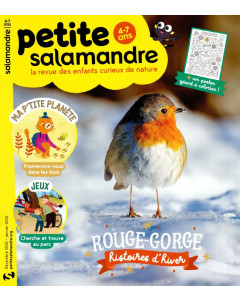 Abonnement Petite Salamandre