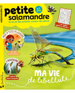 Abonnement Petite Salamandre